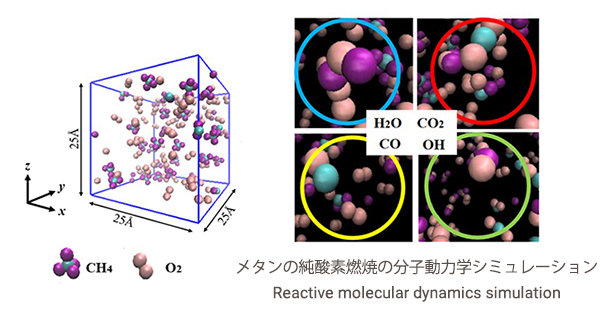 Molecular dynamics simulation on energy transfer of reactive flow
